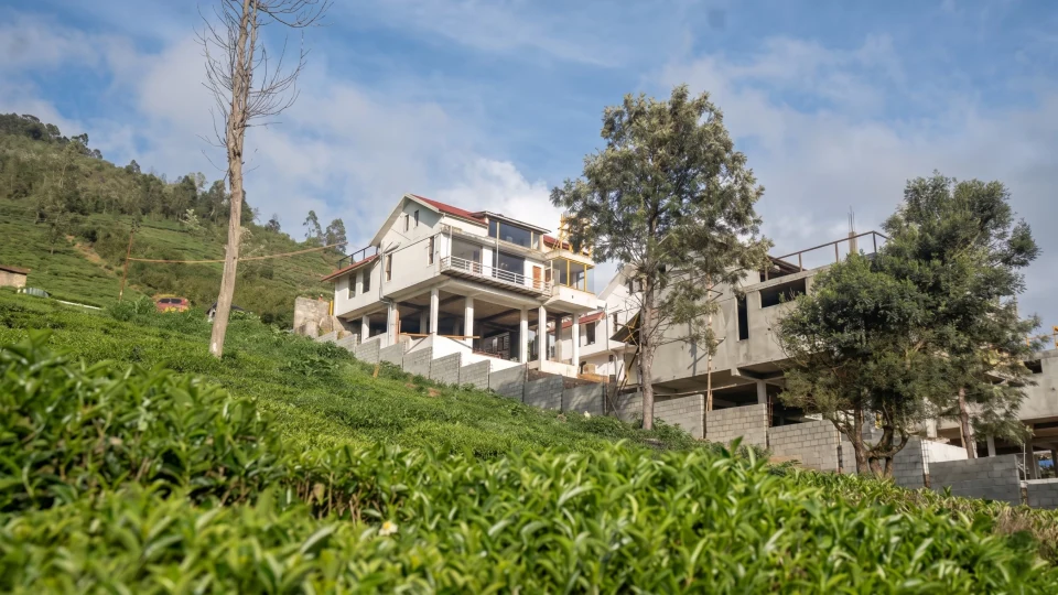 Quiet morning mist across the Nilgiri hills